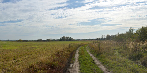 Fototapeta na wymiar Autumn walks through forests and fields, beautiful panorama.