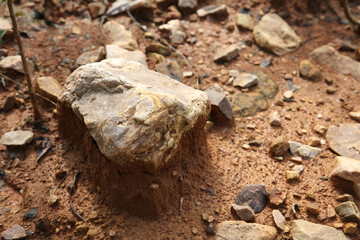 Stones on moist yellow soil, detailed texture