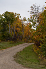 Fototapeta na wymiar Back country road on the Canadian prairies in fall.