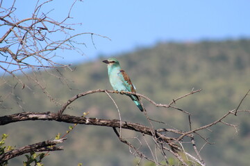 Photos taken in Kruger National Park