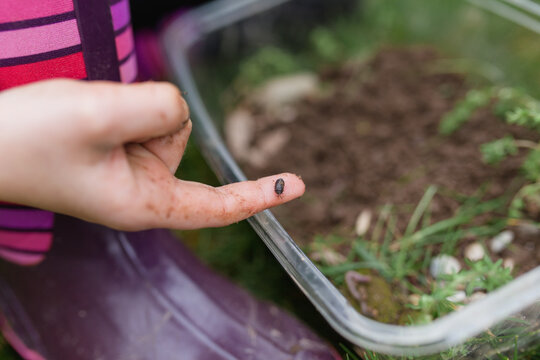 A close up of a child's finger holding a roly poly bug