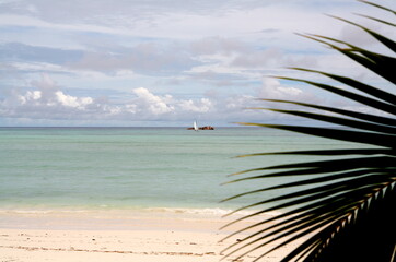 Fototapeta na wymiar White sand beach with palm and turquoise ocean water