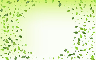 Olive Foliage Organic Green Background Poster. 