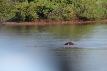Photos taken in Kruger National Park