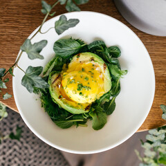 
dishes using avacado