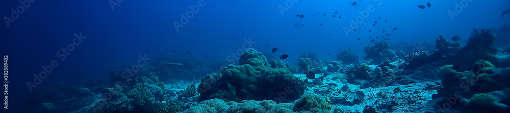 Sticker under water ocean / landscape underwater world, scene blue idyll nature