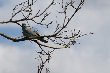 Photos taken in Kruger National Park