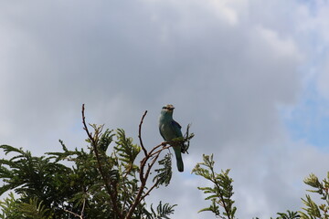 Photos taken in Kruger National Park