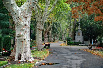 Auf dem Hauptfriedhof