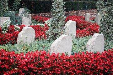 Weiße Grabsteine und rote Blumen