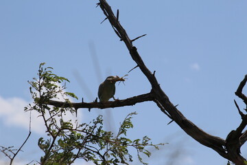 Photos taken in Kruger National Park