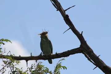 Photos taken in Kruger National Park