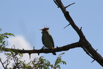 Photos taken in Kruger National Park