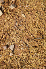Moist yellow soil with lots of small stones, detailed texture