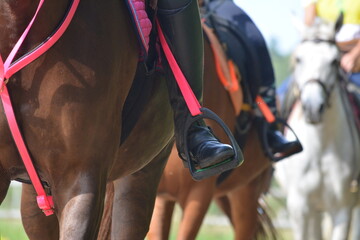 horse and rider on a horse.Detail.