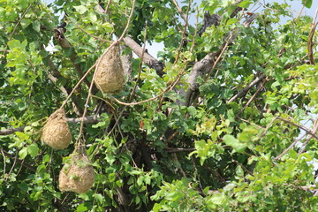 Photos taken in Kruger National Park