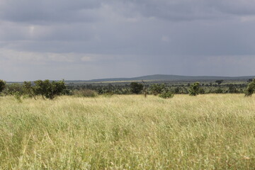 Photos taken in Kruger National Park