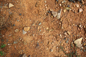 Moist yellow soil with lots of small stones, detailed texture