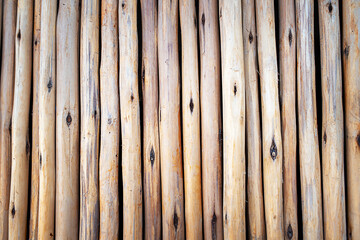 Bamboo fence background. Wall of bamboo. Rural rustic texture background.