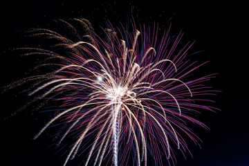 fireworks in the night sky