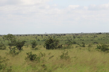 Photos taken in Kruger National Park