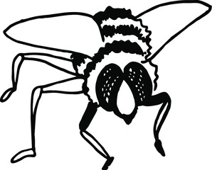 hand draw black and white vector illustration bee, flying insects, summer, honey