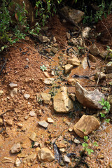 Moist yellow soil with lots of small stones, detailed texture