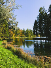 Fototapeta na wymiar Spruce trees on the pond, autumn background