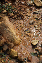 Moist yellow soil with lots of small stones, detailed texture