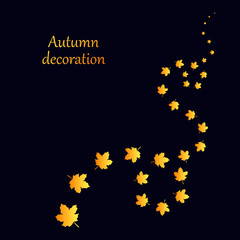 Flying away autumn maple leaves, dark background. Falling leaves, wind, yellow and red colors. Gold decoration, vector pattern for frame, postcard, banner, natural design.