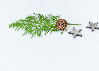 Tannengrün mit Zapfen und Sternen auf weißem Hintergrund - Weihnachten natürlich dekorieren, Weihnachtsdeko