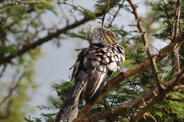 Photos taken in Kruger National Park