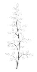 Drawing of a vintage tree branch in gray on a white background