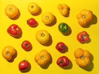 Fototapeta na wymiar Pattern of farm tomatoes of different colors and sizes with hard shadows on bright yellow background.