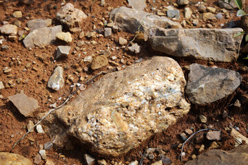 Stones on moist yellow soil, detailed texture