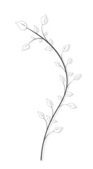 Vintage drawing of a branch with leaves in gray in vintage style on a white background