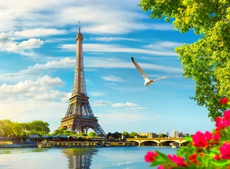 Foto op Canvas Seine in Parijs met Eiffeltoren © Givaga
