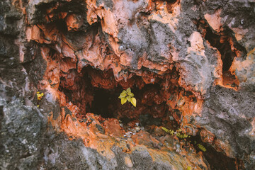 Lava, Hawaii Volcanoes National Park
