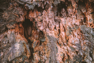 Lava, Hawaii Volcanoes National Park

