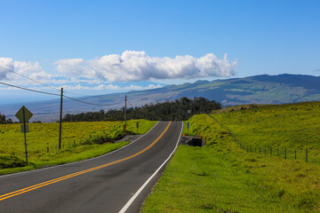 Fototapeta na wymiar The most beautiful country road, Hawaii
