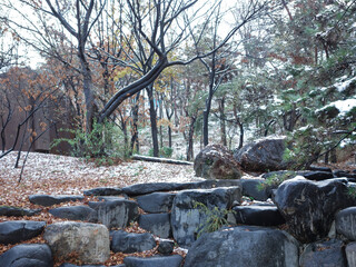 A natural scene in the park when it snows in winter