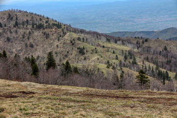 Wonderful landscape in autumn. Trees in yellow foliage. Mountain in fall colors.Colorful mountain landscape. Autumn in the mountains.