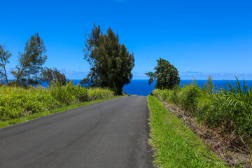 Countryside on the Big Island of Hawaii