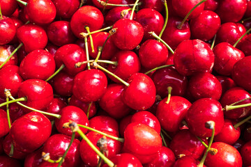 Fresh red cherries on a fruit market.