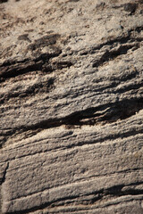 Detailed close up view big rock texture. Portait framing