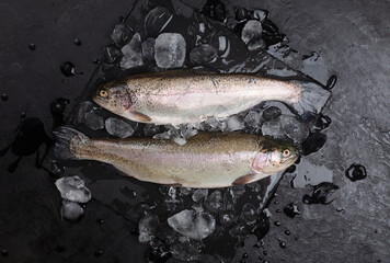 Two raw trouts, top view, black background