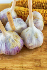 group of heads of garlic lilac stands on a wooden table and on the background of corn close-up