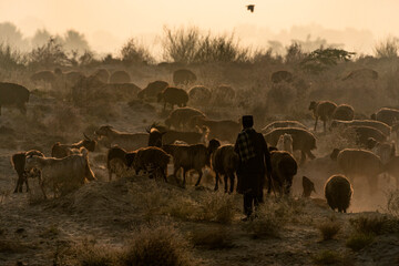 silhouette landscape of shepherds from afghanistan, Pakistan 