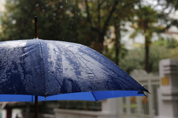 A rainy day and a blue umbrella