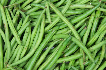 Closeup of isolated fresh green raw green bush beans (phaseolus vulgaris)
